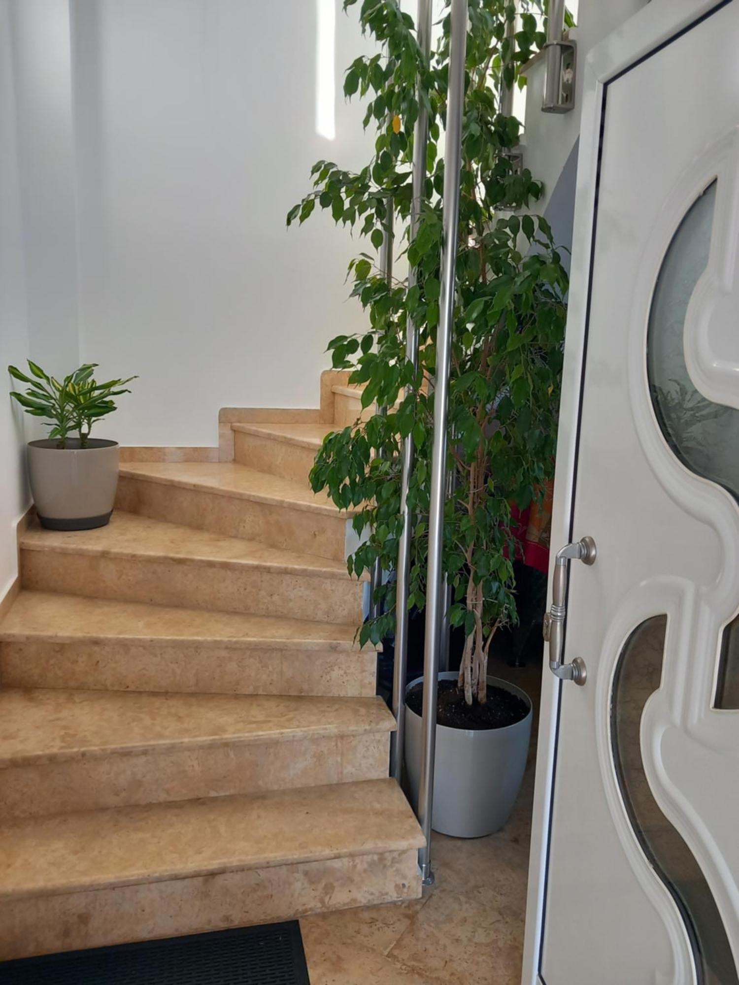 Luxury Apartment Amarynthos Exteriör bild