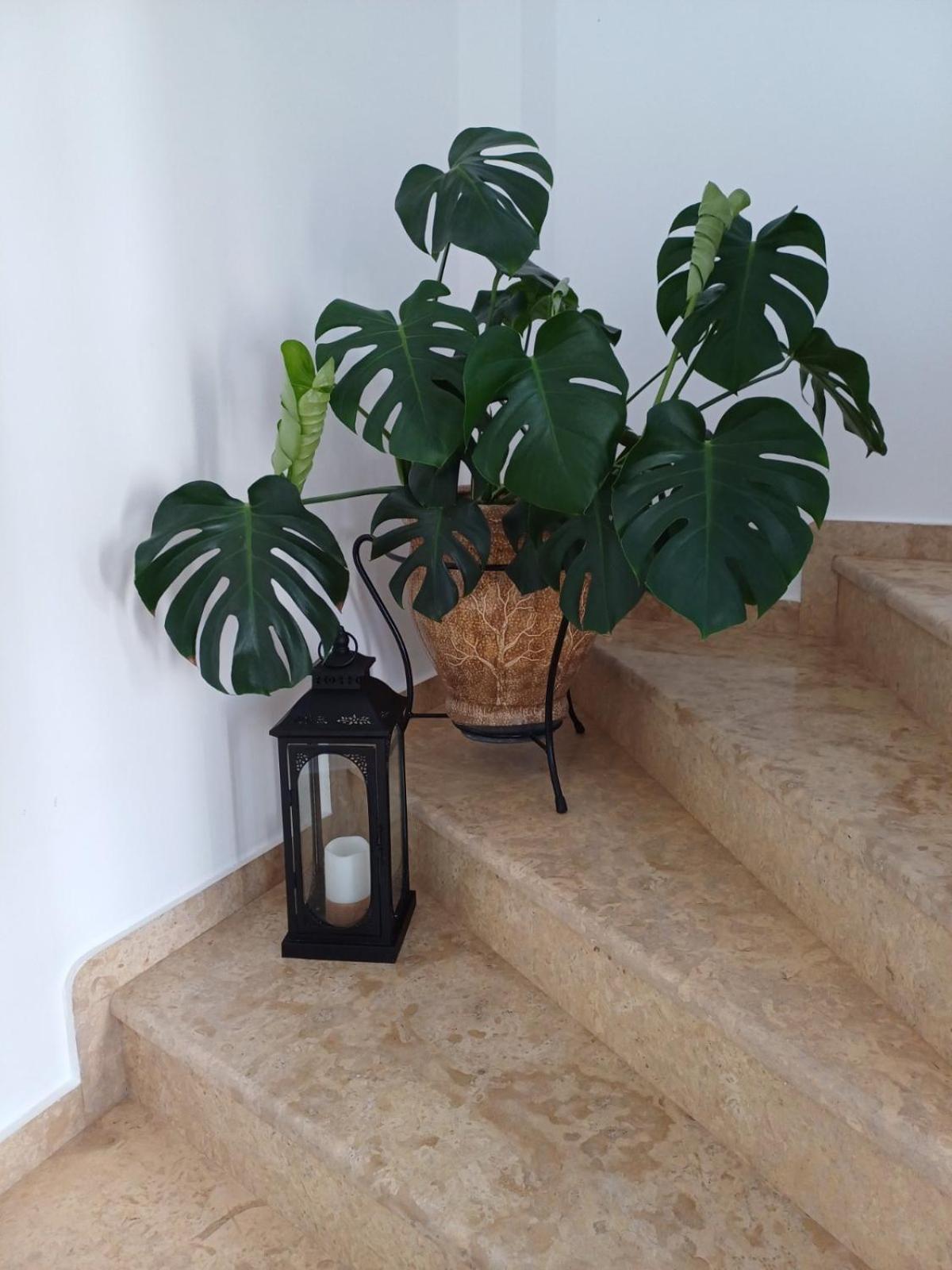 Luxury Apartment Amarynthos Exteriör bild